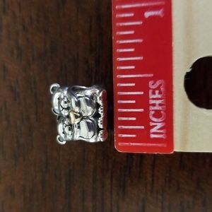 Pandora charm